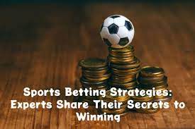 Sports Betting Systems – Can They Be Profitable?